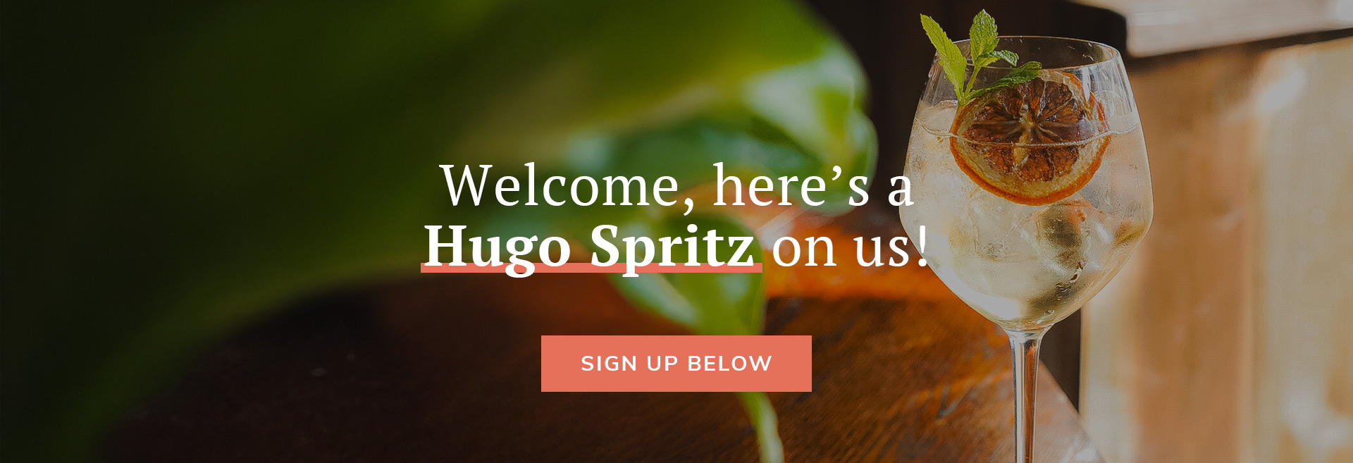 Sign up to the newsletter at The Royal Oak
